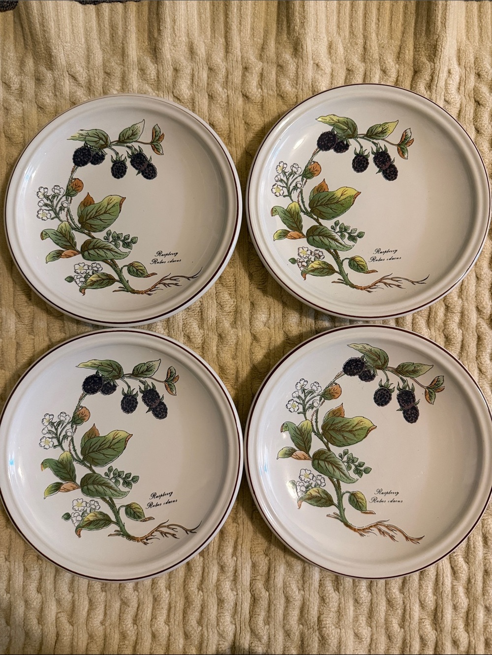 Botanical Raspberry salad Plate Set in Cream and Green Set of 4